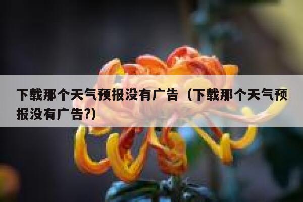 下载那个天气预报没有广告（下载那个天气预报没有广告?） 第1张