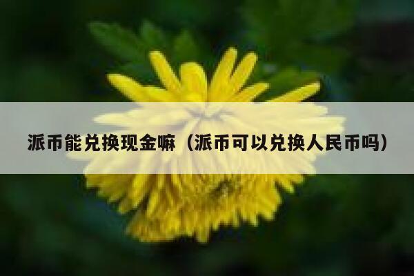 派币能兑换现金嘛（派币可以兑换人民币吗） 第1张