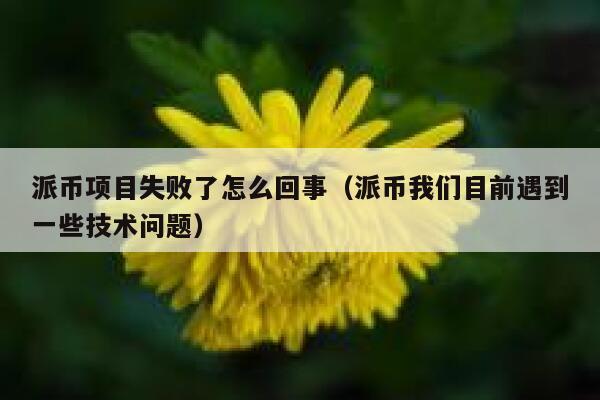 派币项目失败了怎么回事（派币我们目前遇到一些技术问题） 第1张
