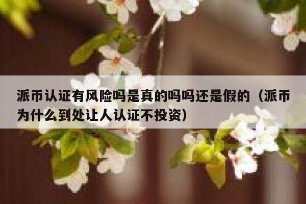 派币认证有风险吗是真的吗吗还是假的(派币为什么到处让人认证不投资) 第1张 派币认证有风险吗是真的吗吗还是假的(派币为什么到处让人认证不投资) 第1张