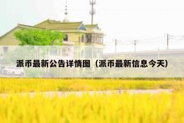 派币最新公告详情图(派币最新信息今天) 第1张 派币最新公告详情图(派币最新信息今天) 第1张