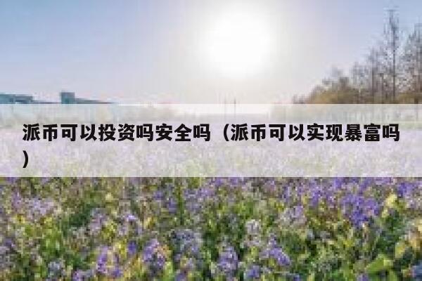 派币可以投资吗安全吗（派币可以实现暴富吗） 第1张