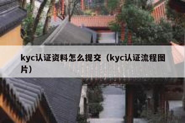 kyc认证资料怎么提交（kyc认证流程图片） 第1张