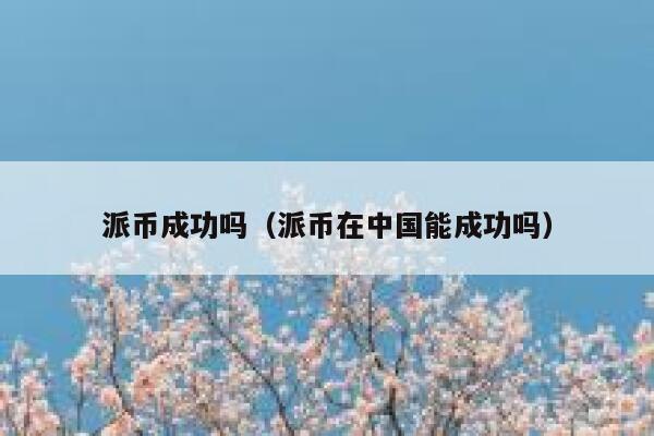 派币成功吗（派币在中国能成功吗） 第1张