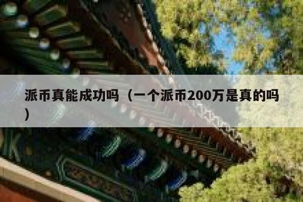 派币真能成功吗（一个派币200万是真的吗） 第1张