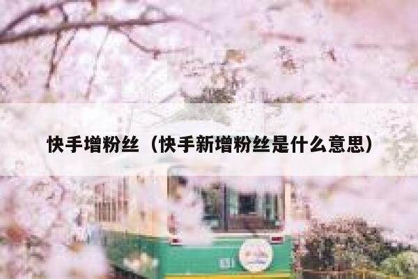 快手增粉丝(快手新增粉丝是什么意思) 第1张 快手增粉丝(快手新增粉丝是什么意思) 第1张