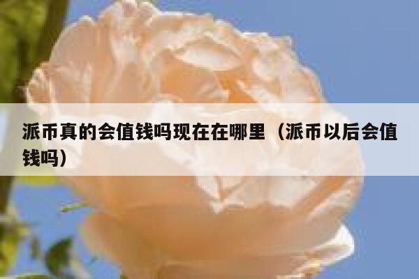 派币真的会值钱吗现在在哪里（派币以后会值钱吗） 第1张