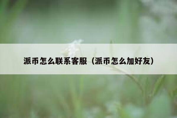 派币怎么联系客服（派币怎么加好友） 第1张