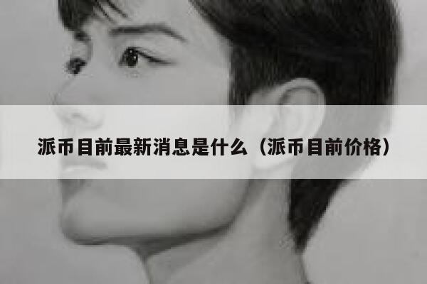 派币目前最新消息是什么（派币目前价格） 第1张