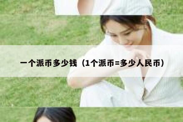 一个派币多少钱（1个派币=多少人民币） 第1张