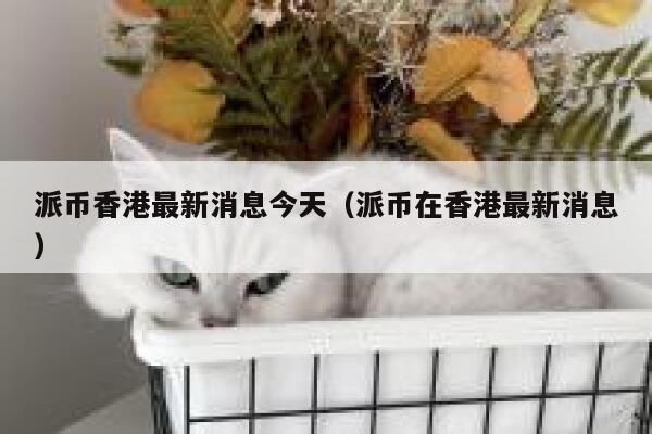 派币香港最新消息今天（派币在香港最新消息） 第1张