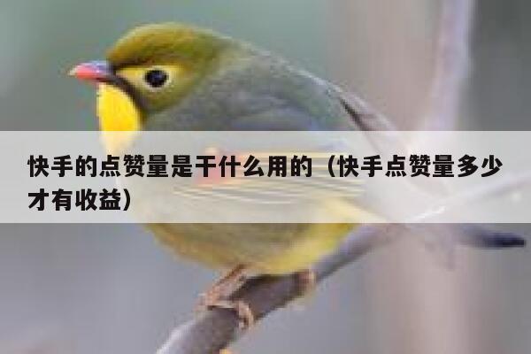 快手的点赞量是干什么用的（快手点赞量多少才有收益） 第1张
