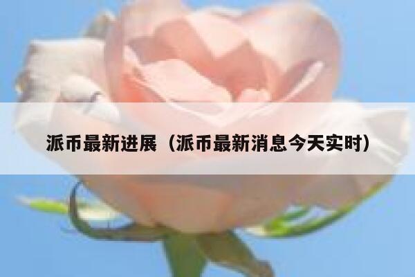 派币最新进展(派币最新消息今天实时) 第1张 派币最新进展(派币最新消息今天实时) 第1张