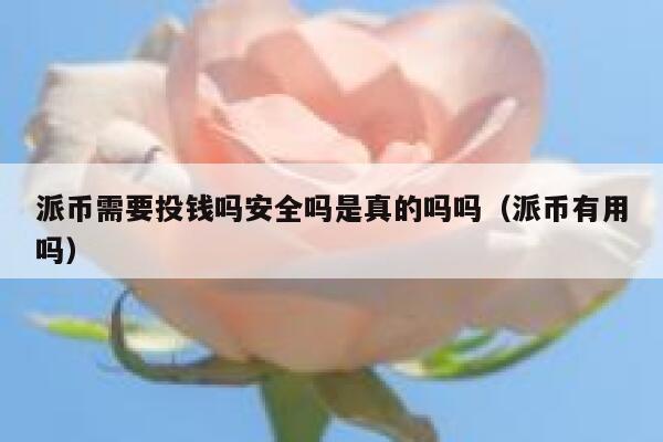 派币需要投钱吗安全吗是真的吗吗（派币有用吗） 第1张