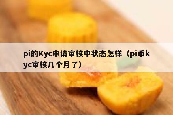 pi的Kyc申请审核中状态怎样（pi币kyc审核几个月了） 第1张