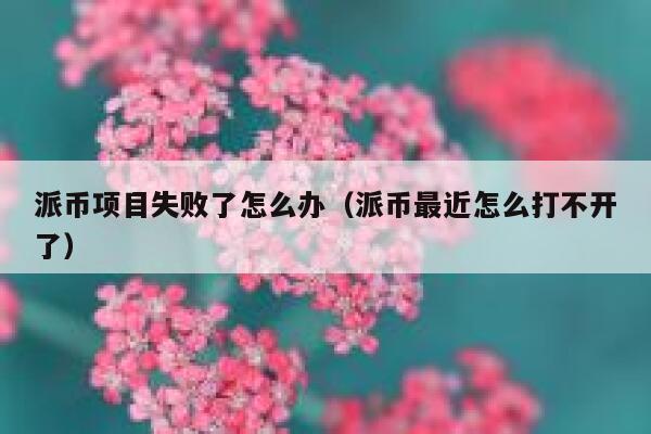 派币项目失败了怎么办（派币最近怎么打不开了） 第1张