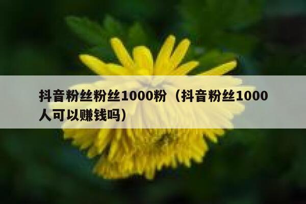 抖音粉丝粉丝1000粉（抖音粉丝1000人可以赚钱吗） 第1张