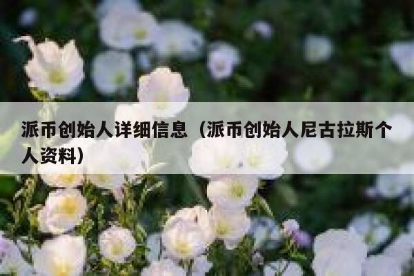 派币创始人详细信息（派币创始人尼古拉斯个人资料） 第1张