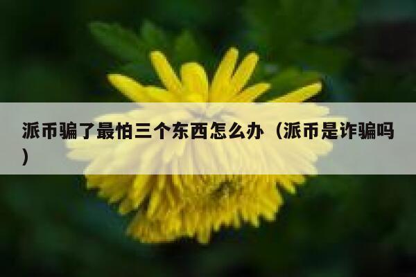 派币骗了最怕三个东西怎么办（派币是诈骗吗） 第1张