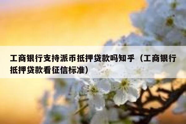工商银行支持派币抵押贷款吗知乎（工商银行抵押贷款看征信标准） 第1张
