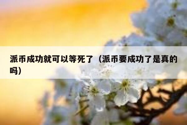 派币成功就可以等死了（派币要成功了是真的吗） 第1张