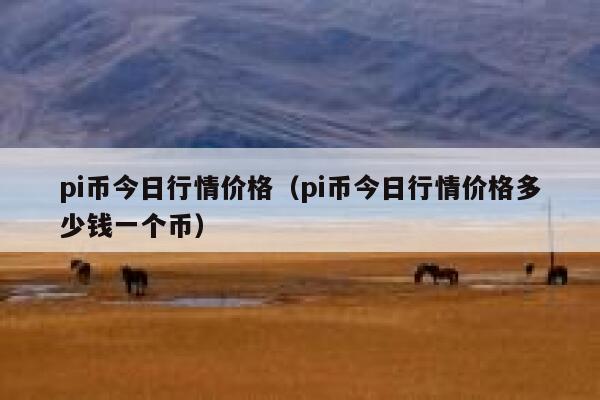 pi币今日行情价格（pi币今日行情价格多少钱一个币） 第1张