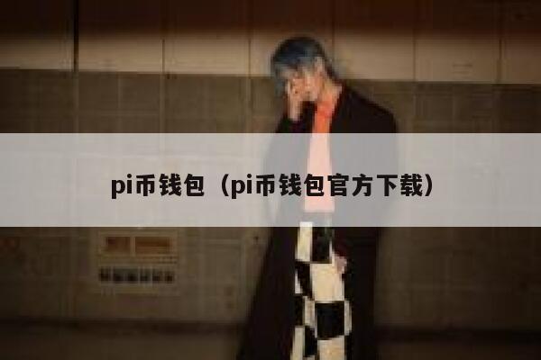 pi币钱包（pi币钱包官方下载） 第1张