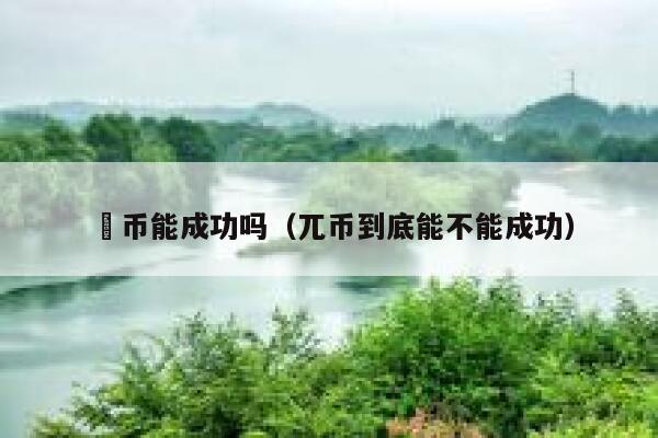 沠币能成功吗（兀币到底能不能成功） 第1张