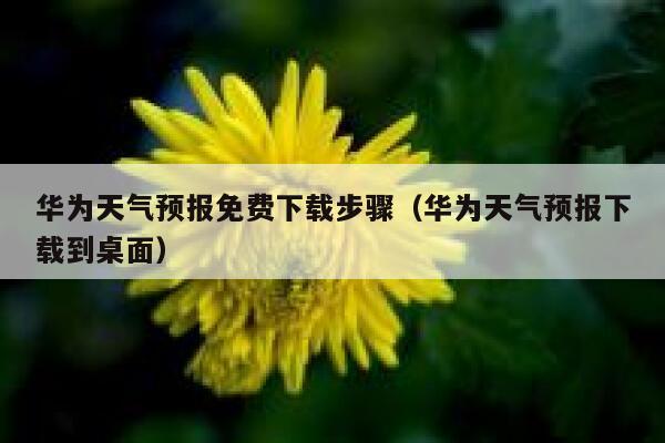 华为天气预报免费下载步骤(华为天气预报下载到桌面) 第1张 华为天气预报免费下载步骤(华为天气预报下载到桌面) 第1张