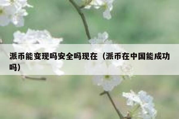 派币能变现吗安全吗现在(派币在中国能成功吗) 第1张 派币能变现吗安全吗现在(派币在中国能成功吗) 第1张