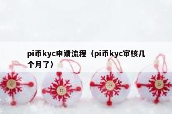 pi币kyc申请流程（pi币kyc审核几个月了） 第1张