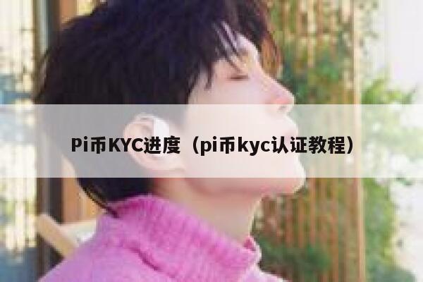 Pi币KYC进度(pi币kyc认证教程) 第1张 Pi币KYC进度(pi币kyc认证教程) 第1张