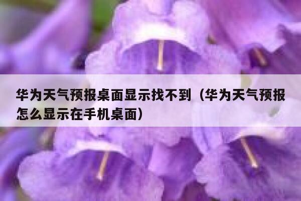华为天气预报桌面显示找不到（华为天气预报怎么显示在手机桌面） 第1张