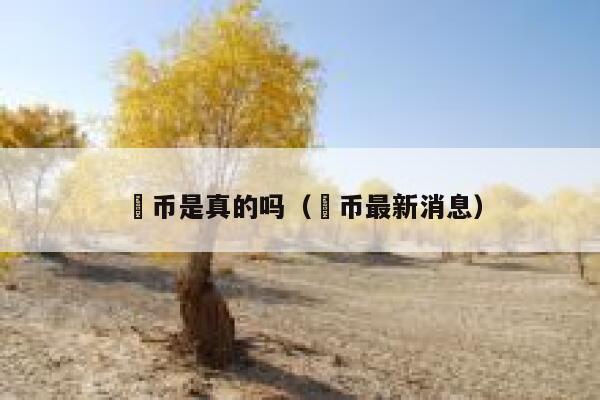 泒币是真的吗（泒币最新消息） 第1张