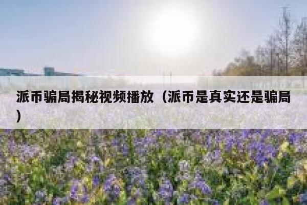 派币骗局揭秘视频播放(派币是真实还是骗局) 第1张 派币骗局揭秘视频播放(派币是真实还是骗局) 第1张