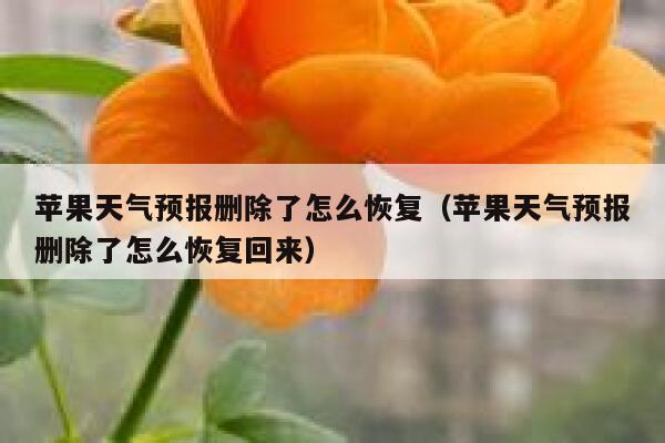 苹果天气预报删除了怎么恢复（苹果天气预报删除了怎么恢复回来） 第1张