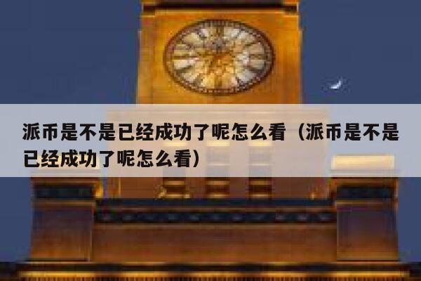 派币是不是已经成功了呢怎么看（派币是不是已经成功了呢怎么看） 第1张