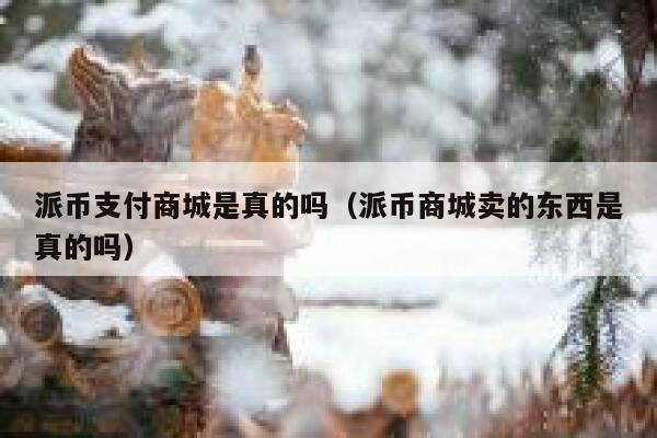 派币支付商城是真的吗（派币商城卖的东西是真的吗） 第1张