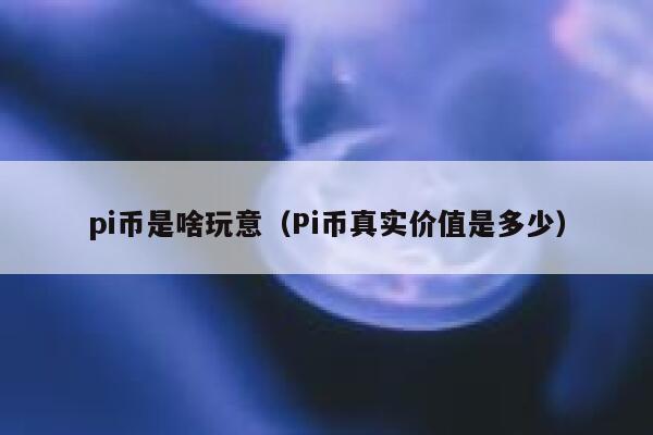 pi币是啥玩意(Pi币真实价值是多少) 第1张 pi币是啥玩意(Pi币真实价值是多少) 第1张
