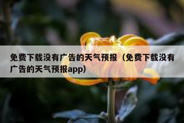 免费下载没有广告的天气预报（免费下载没有广告的天气预报app） 第1张