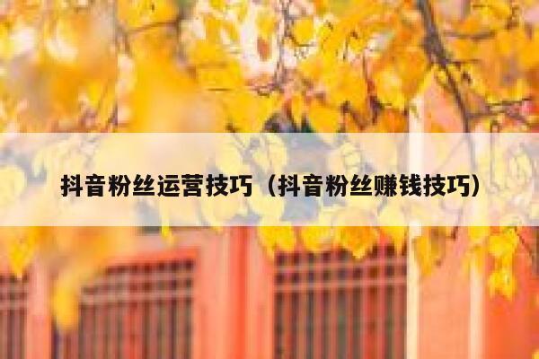 抖音粉丝运营技巧（抖音粉丝赚钱技巧） 第1张