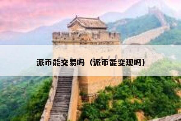 派币能交易吗（派币能变现吗） 第1张