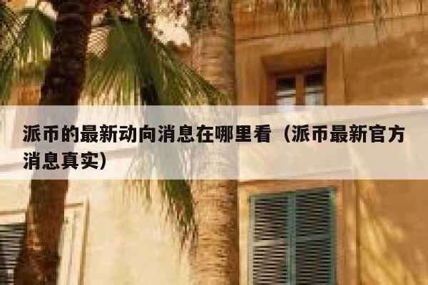 派币的最新动向消息在哪里看（派币最新官方消息真实） 第1张