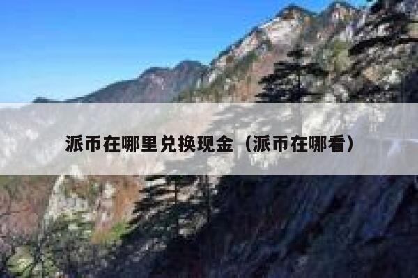派币在哪里兑换现金（派币在哪看） 第1张