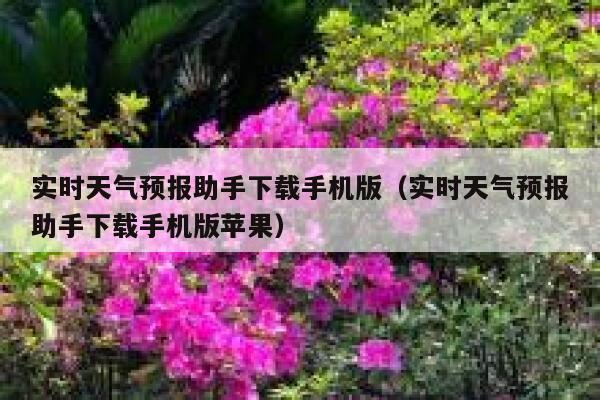 实时天气预报助手下载手机版（实时天气预报助手下载手机版苹果） 第1张