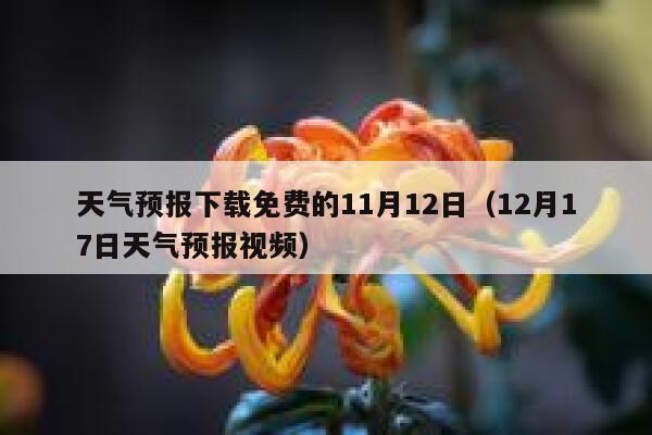 天气预报下载免费的11月12日(12月17日天气预报视频) 第1张 天气预报下载免费的11月12日(12月17日天气预报视频) 第1张