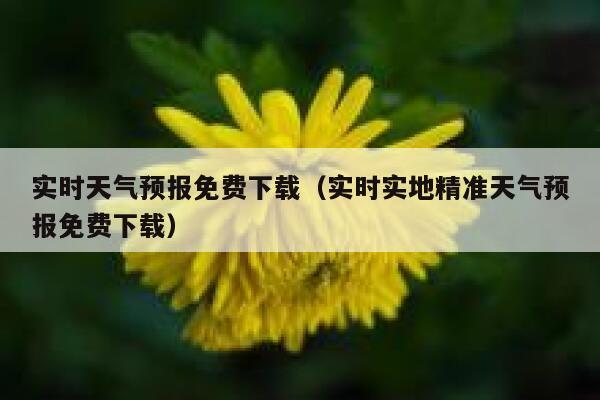 实时天气预报免费下载(实时实地精准天气预报免费下载) 第1张 实时天气预报免费下载(实时实地精准天气预报免费下载) 第1张