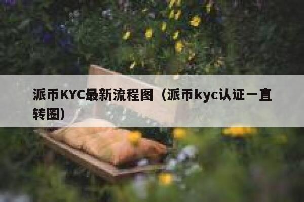 派币KYC最新流程图（派币kyc认证一直转圈） 第1张