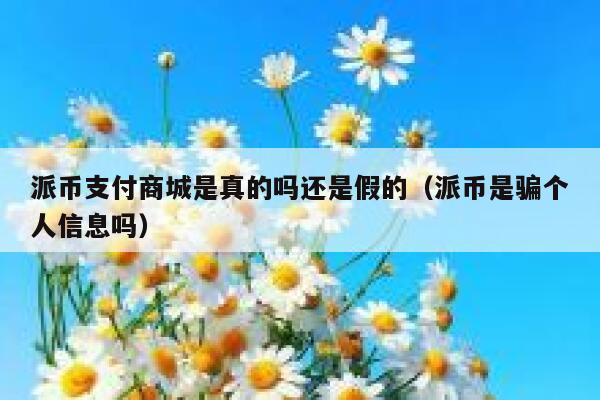 派币支付商城是真的吗还是假的（派币是骗个人信息吗） 第1张