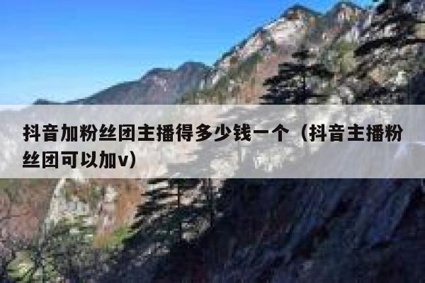抖音加粉丝团主播得多少钱一个（抖音主播粉丝团可以加v） 第1张